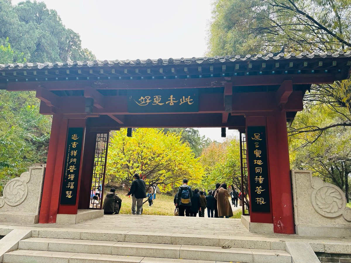 bh4tOsMIVKUUzQU's tweet photo. 「秩（つかさ）の閉（と）じた門から、ふいに菊の香りが漏れてくる——古い寺の庭で、ひとり聞く風の音。」 https://t.co/85gVuhzkoU