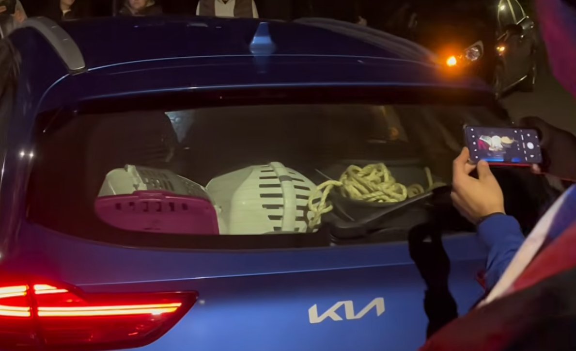 Wbalcerzak87's tweet photo. Tak właśnie działają zielone NGO-sy: pod hasłami ochrony zwierząt organizują akcje, w których dochodzi do odbierania zwierząt, a wszystko odbywa się przy wsparciu wykreowanych celebrytów. 

Za piękną opowieścią o ratowaniu zwierząt mogą kryć się interesy, zlecenia i układy, o których odbiorca medialnego spektaklu nie ma pojęcia.

Celebryta dostaje rozgłos, NGO buduje swoją pozycję, a zwykły człowiek ma uwierzyć, że wszystko odbywa się w imię wyższego dobra.

Bo dziś wystarczy przykleić etykietę „ratowanie zwierząt”, żeby próbować usprawiedliwić niemal wszystko.

A kiedy za tą narracją kryją się konkretne działania i interesy, trzeba pytać: kto zleca, kto wykonuje, kto korzysta i dokąd ostatecznie trafiają zwierzęta?