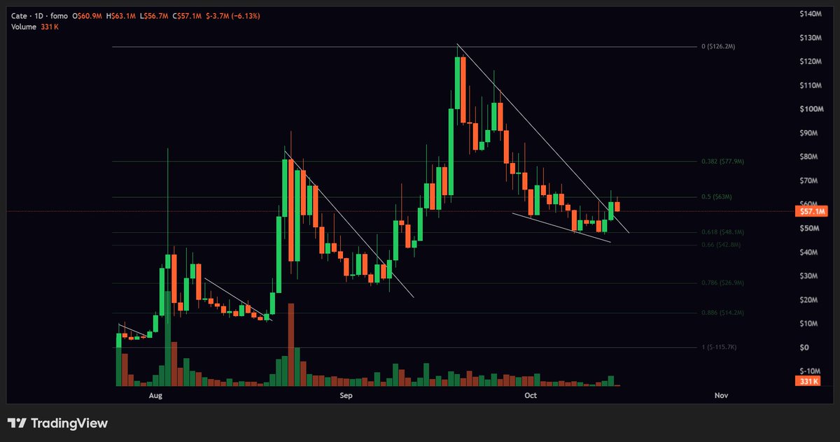 greenytrades's tweet photo. One of the genuine memecoins that I hear a lot about from groups, normies and even feedback from irl events is $cate

Right now over 141,000 people hold this token, its one of the strongest communities out there, it wouldn't shock me if this is one of the meme leaders into 2027 https://t.co/Wc7VwWhhNG
