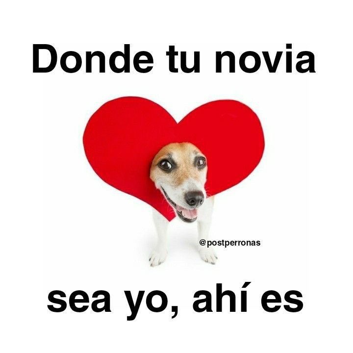 celylvsjames's tweet photo. alguien q me haga caso https://t.co/8ILPu2YJC8