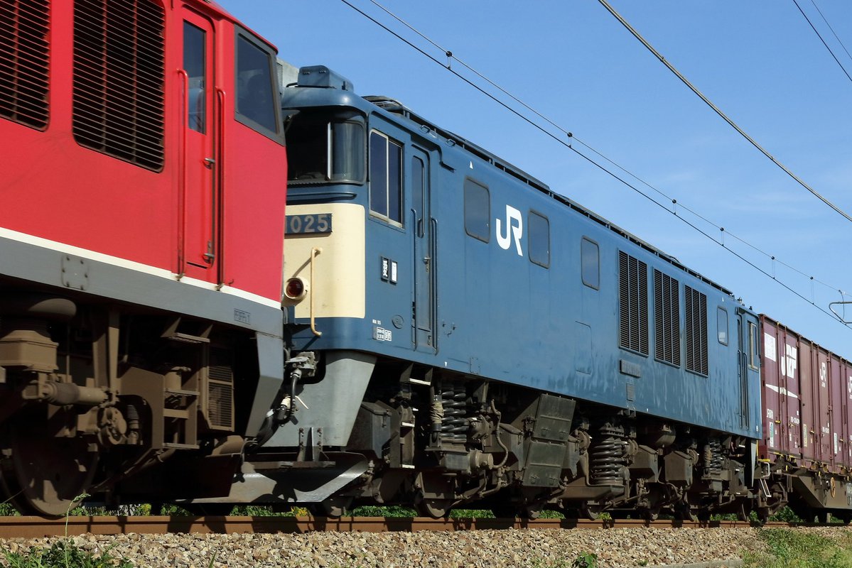 210EP's tweet photo. 10/15の2077レはEF510-17 + EF64-1025❗️

この季節らしい気温と、雲ひとつ無い秋晴れとなった今日は、EF510-17号機が牽引する2077列車です。
今日の次機無動力回送は、EF64-1025号機が付きました。
沿線では稲刈りが最盛期を迎え、より一層秋を感じます。
沿線でご一緒された皆様、お疲れ様でした。 https://t.co/iDEhZe4cCA