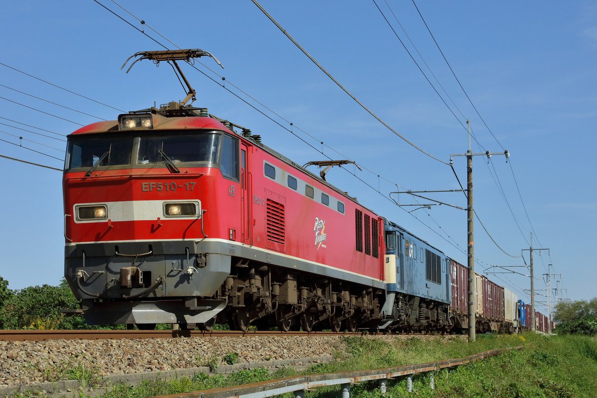 210EP's tweet photo. 10/15の2077レはEF510-17 + EF64-1025❗️

この季節らしい気温と、雲ひとつ無い秋晴れとなった今日は、EF510-17号機が牽引する2077列車です。
今日の次機無動力回送は、EF64-1025号機が付きました。
沿線では稲刈りが最盛期を迎え、より一層秋を感じます。
沿線でご一緒された皆様、お疲れ様でした。 https://t.co/iDEhZe4cCA