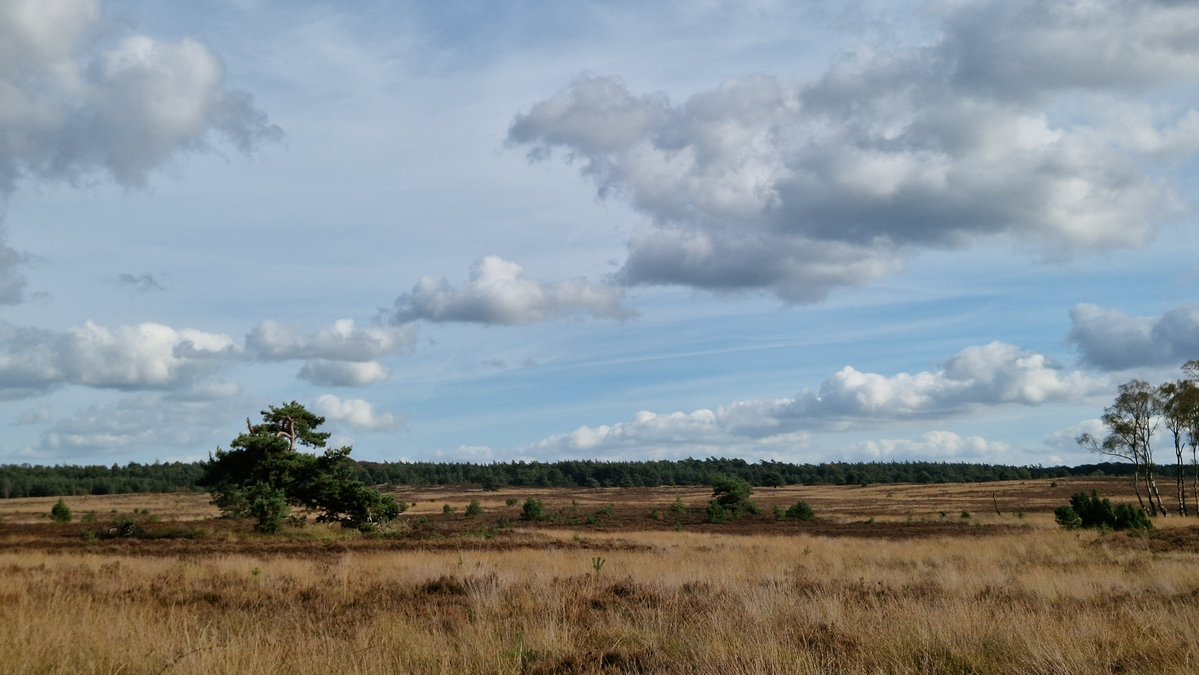 weerverteller's tweet photo. Het vrij warme weer van deze week loopt ten einde. Achter een koufront, dat vrijdag in de loop van de dag met wat regen passeert, stroomt koelere lucht binnen. https://t.co/6T88lYDit3 #herfst #herfst2026 #koeler #stabiel #hogedrukgebieden #regen

Foto: Frans Alderse Baas https://t.co/fcbSEwLO4M