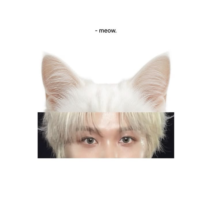 haeflutter's tweet photo. Kitty hyuckie https://t.co/GS8RlteuIT