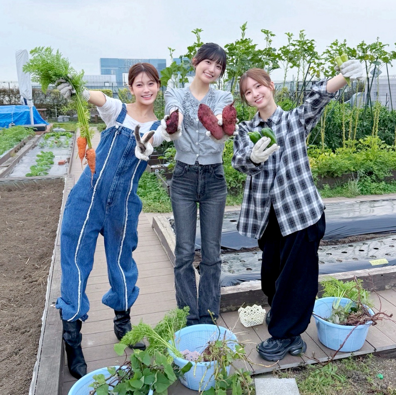 nogi522775's tweet photo. カフェオーレの日にカフェオーレで活動して、さつまいもの日にさつまいろで活動する3人が最高すぎます！✨
https://t.co/EZHzoJICqV

#菅原咲月 #五百城茉央 #奥田いろは #さつまいもの日
#カフェオーレ #さつまいろ https://t.co/BgDbNhKKPd