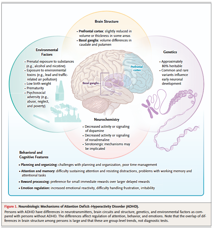 YannLe_Strat's tweet photo. Le #TDAH fait la une du @NEJM !

Si vous cherchez une revue de la littérature complète, récente, rigoureuse, mais que vous n'avez le temps de lire qu'un seul article...et bien vous l'avez trouvée!

https://t.co/AZB5DiZBeg https://t.co/CcKpZwph6d