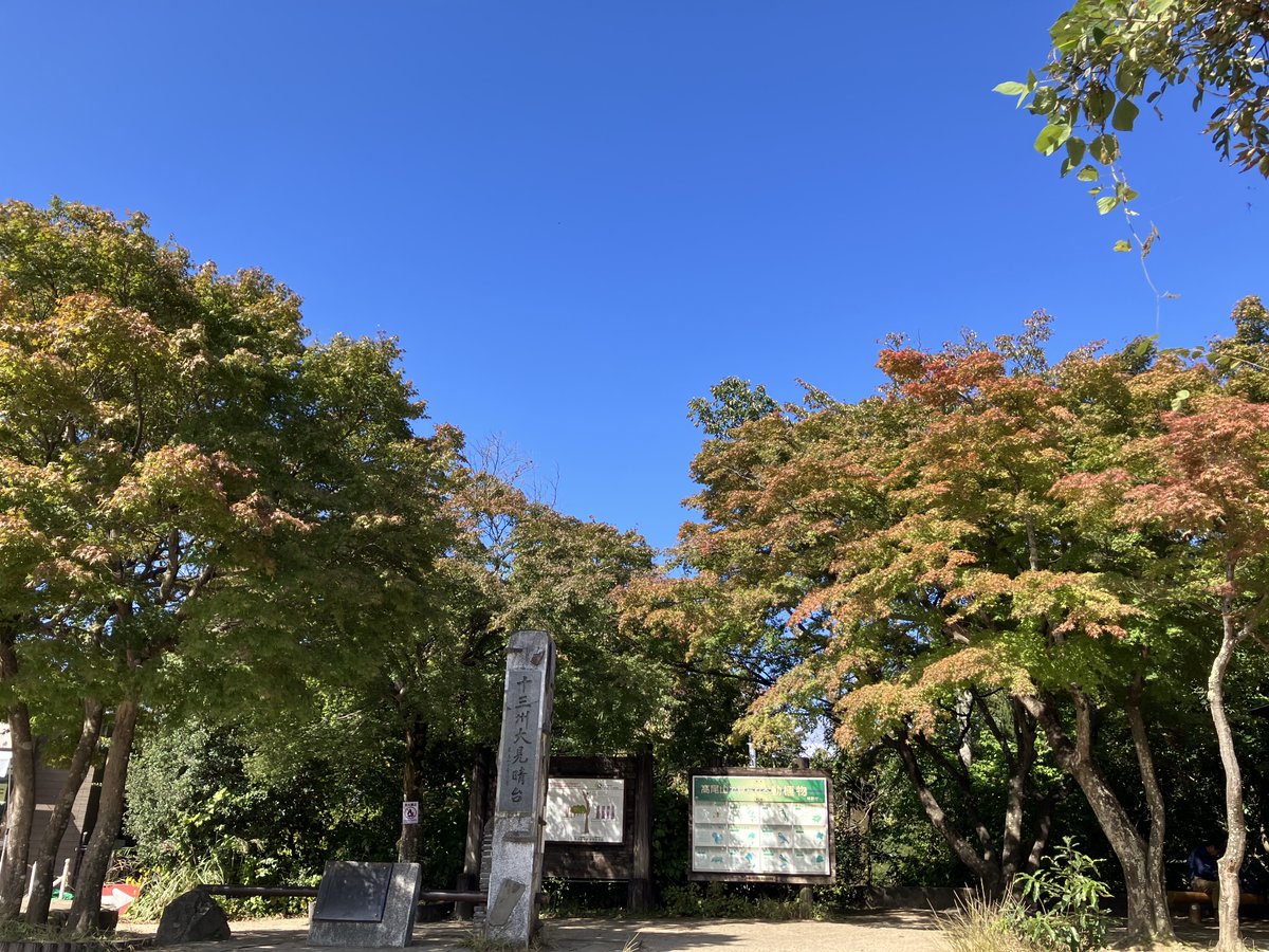 takaovc's tweet photo. 高尾山は清滝駅、薬王院、山頂、もみじ台など、各所に #イロハモミジ を始めとした紅葉の見どころがあります🍁
例年、11月中旬～11月下旬頃に見頃を迎えますが、HPに紅葉の近況を投稿しています。
https://t.co/Y2VjrlhoFy

山頂のモミジは少し色づいていました！
#ビジターセンターに聞いてみよう https://t.co/l4lshpS5Sm