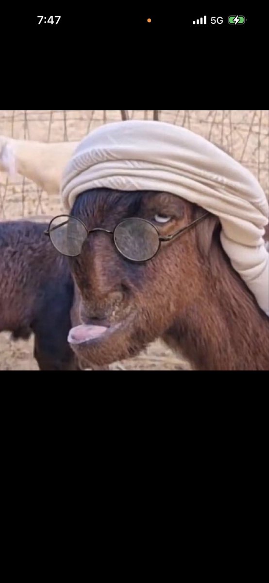 Xmsx0ut's tweet photo. @HMazrouei صباح النور اختر اللي يعجبك 
😂😂😂😂😂😂😂 https://t.co/XW7OJT1tCN