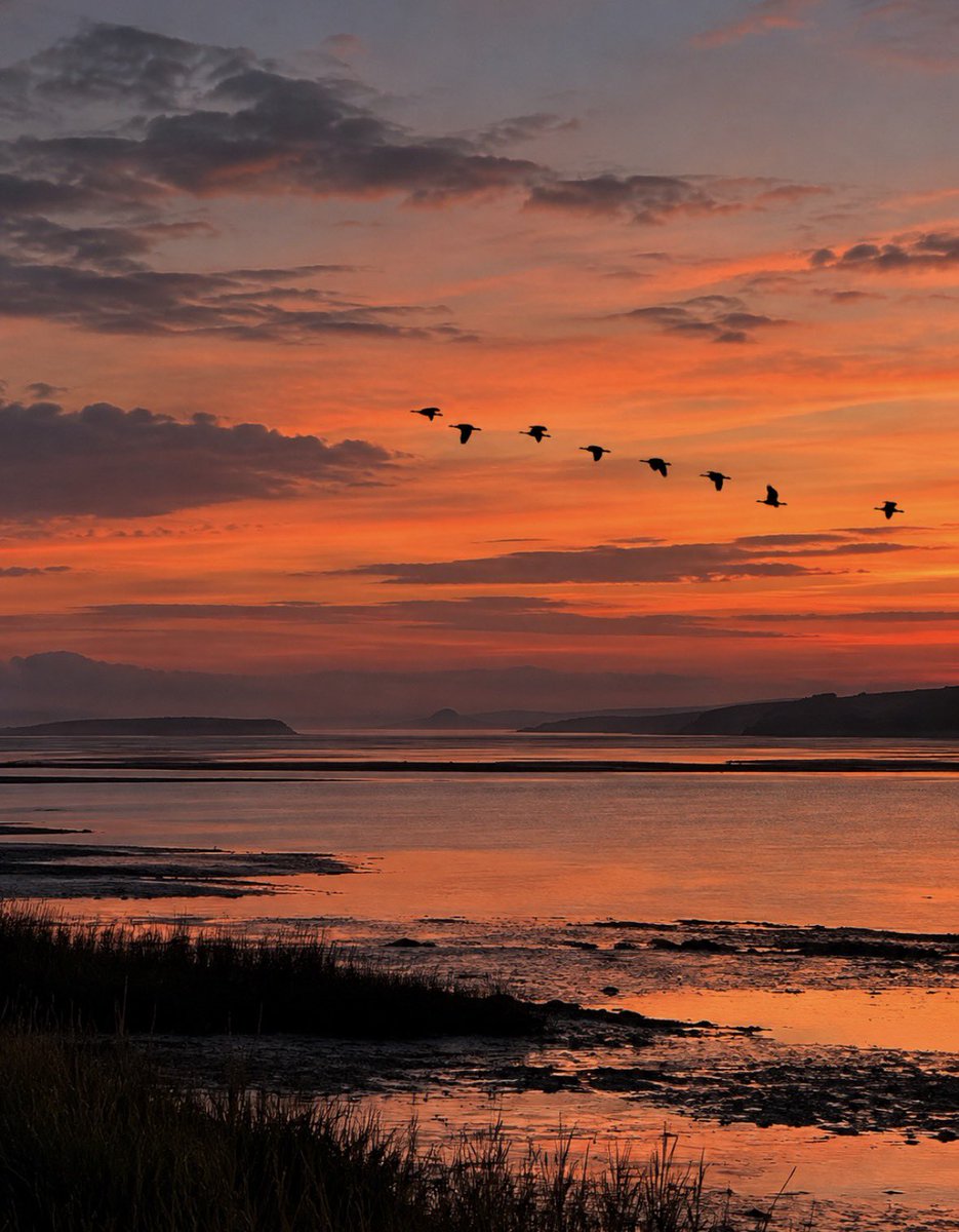 earthcurated's tweet photo. Autumn sunrise 🌅 https://t.co/DR3XAV3S33
