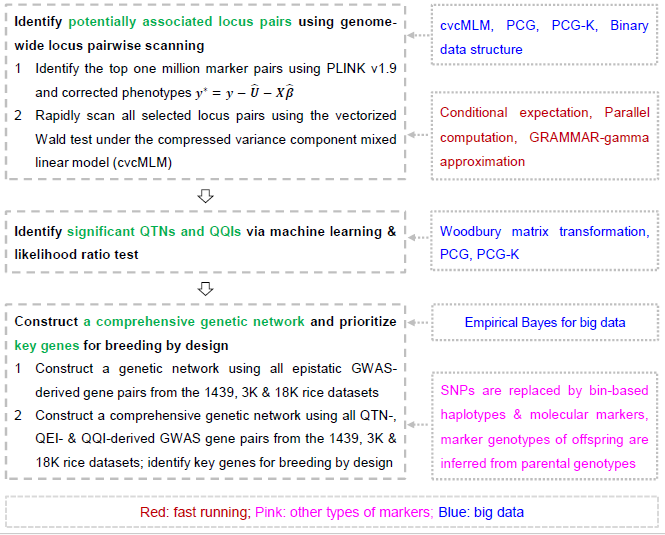 MPlantPCom's tweet photo. Fast3VmrMLM enables statistically powerful and computationally efficient large-scale marker-pair epistasis GWAS in sizable populations #resource #PlantCommunications https://t.co/6P5Lvkq9f9 https://t.co/uVX0bBl3C0