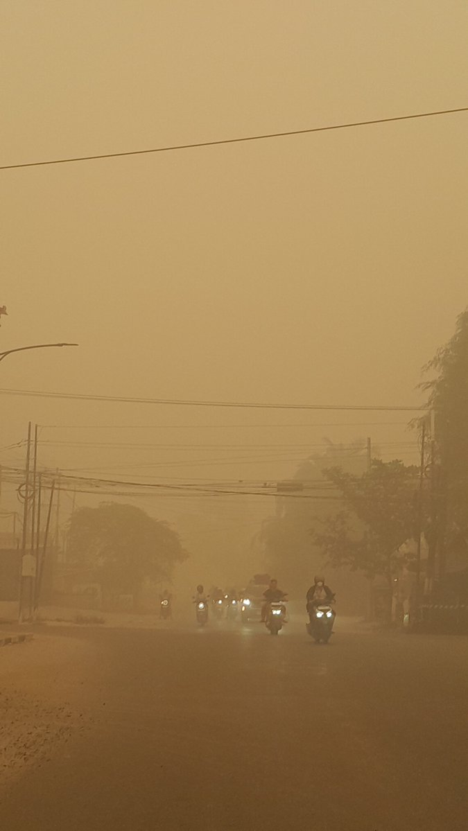 hanIogys's tweet photo. halo temen-temen boleh minta tolong naikin ht ini? kita tetep berusaha semaksimal mungkin karna kalo bukan kita yang bersuara siapa lagi? pemerintah hanya selalu lari dari kewajiban mereka.

#IndonesiaButuhOksigen https://t.co/w81JnUAAbW