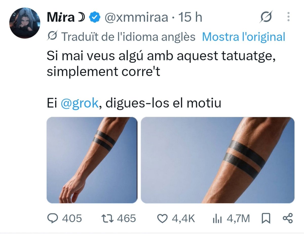 Lluquiperics's tweet photo. Traductor de X, tot be a casa? https://t.co/ixLHV7GUMO