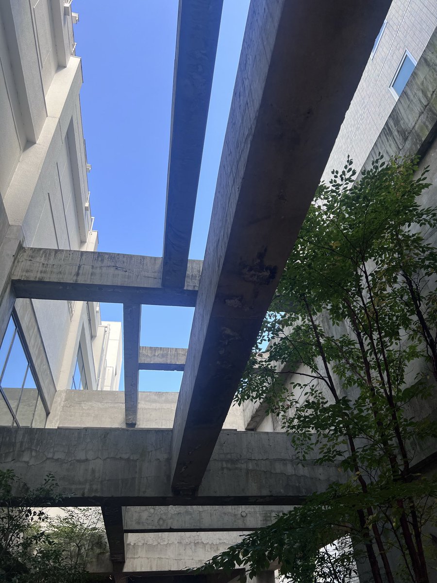 balalaika0130's tweet photo. 快晴☀️🌈
白井屋ホテル綺麗だった✨️ https://t.co/ij1xXEeIss