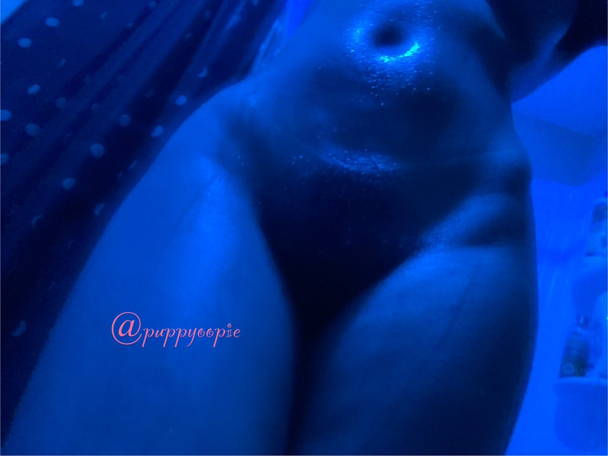 puppyoopie's tweet photo. Perfect Blue https://t.co/vCkVmaE5ei