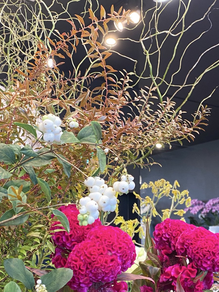 flower_8739's tweet photo. 秋、感じませんか？☺️🍁💛

#ハナサク本店　#TLを花でいっぱいにしよう https://t.co/jDDR3KIuP8