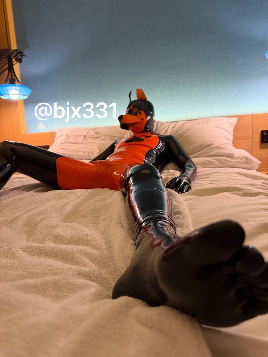 bjx331's tweet photo. 可爱的🐶小狗玩具  
Dom：@bjx331 
#胶衣 
#sm https://t.co/1AlN7zTDJk