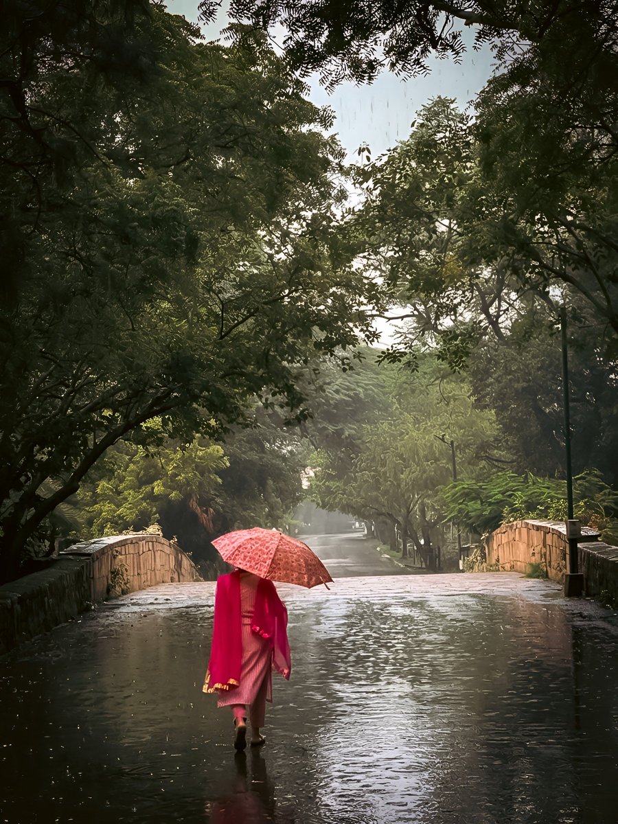 ExploreWithRoy's tweet photo. October rains! 🌧️😍

#october #delhi #photography #thursday #shotoniphone @Apple https://t.co/VpBOIEPl2E