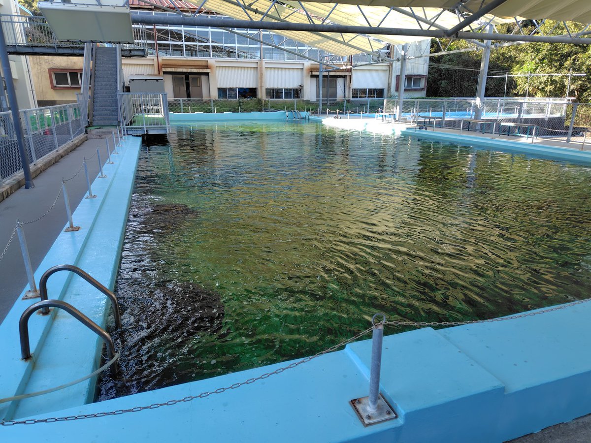 golzi_cube's tweet photo. おもろそうな施設
おもろかった

けどド田舎出身故、小学校が廃校になるってことに寂しさを覚える https://t.co/JXdXb28lQp
