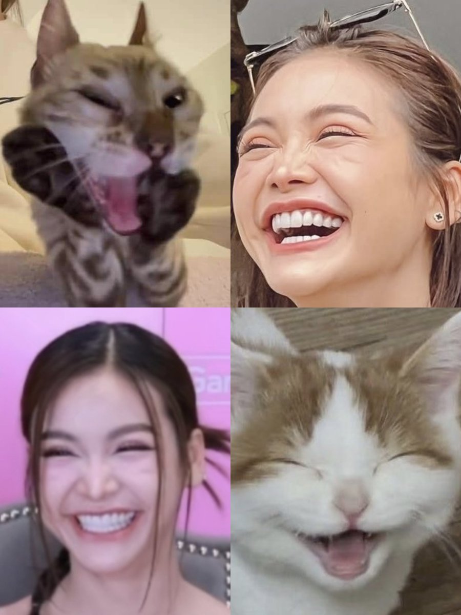 ppfskei905's tweet photo. 🐱😺😼😾😸

◖⁠⚆⁠ᴥ⁠⚆⁠◗#อิงฟ้ามหาชน #อิงฟ้าวราหะ 
#EngfaWaraha @EWaraha (⁠ᵔ⁠ᴥ⁠ᵔ⁠) https://t.co/r3CDEtl5u6