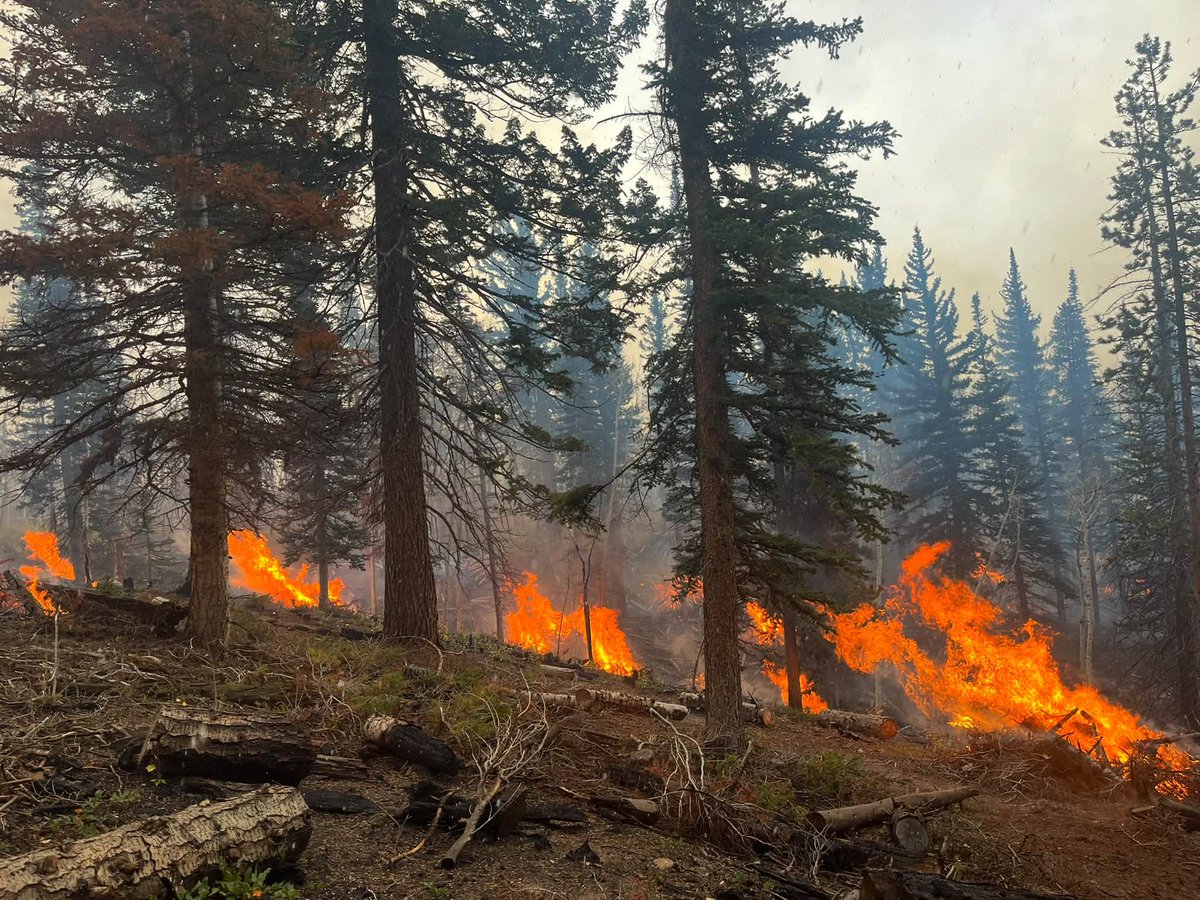 UtahWildfire tweet picture