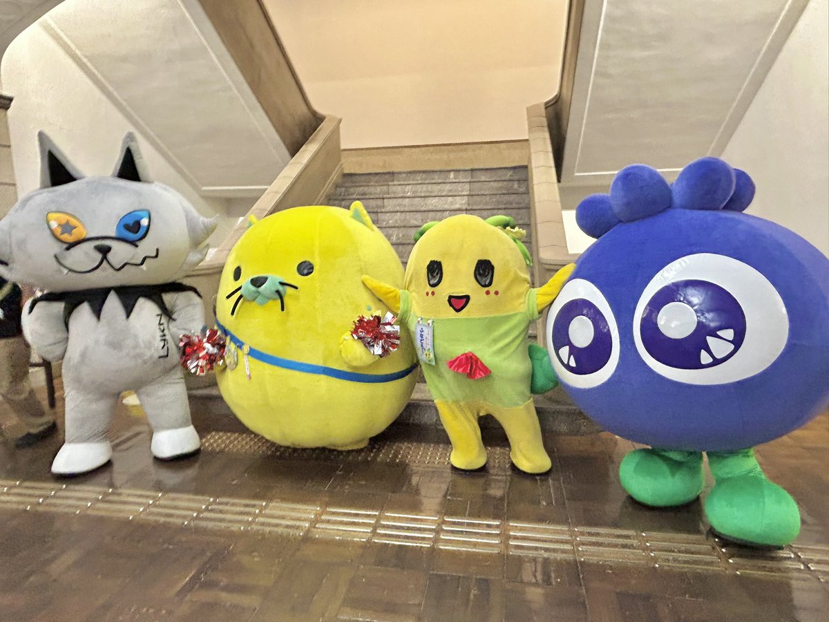 buru_buru_kun's tweet photo. 群馬でも元気いっぱいだったふなごろー、元気すぎてブレてない写真探すの大変やったで…💦

#ご当地キャラカーニバル https://t.co/x5ny5YJK3A