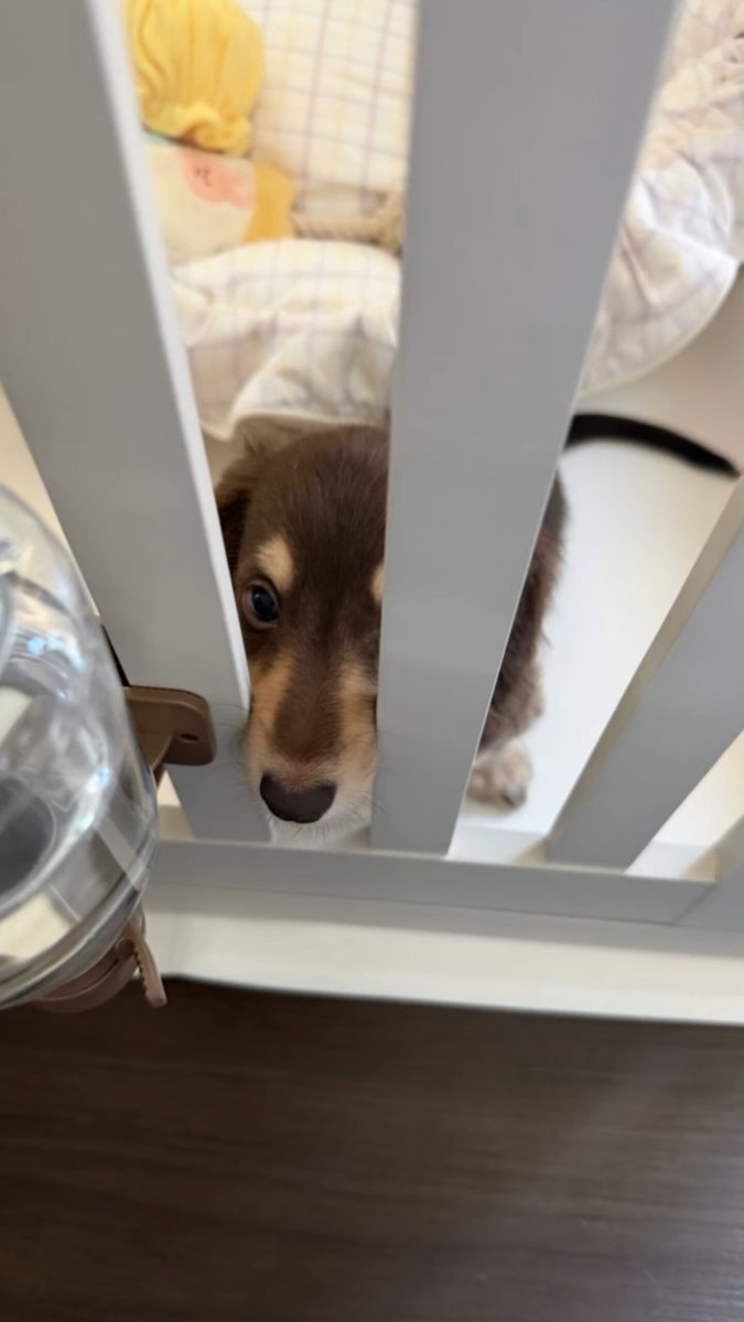 itsbecfreen_'s tweet photo. LITTLE FREYA BABYYYYY 🩷

#srchafreen #freya https://t.co/YErPWJI39Q