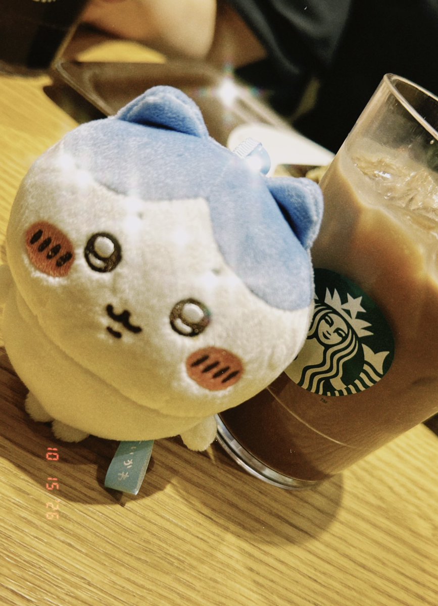 Re_kanata__'s tweet photo. ハチワレが輝いちゃった https://t.co/22u61JbdY7