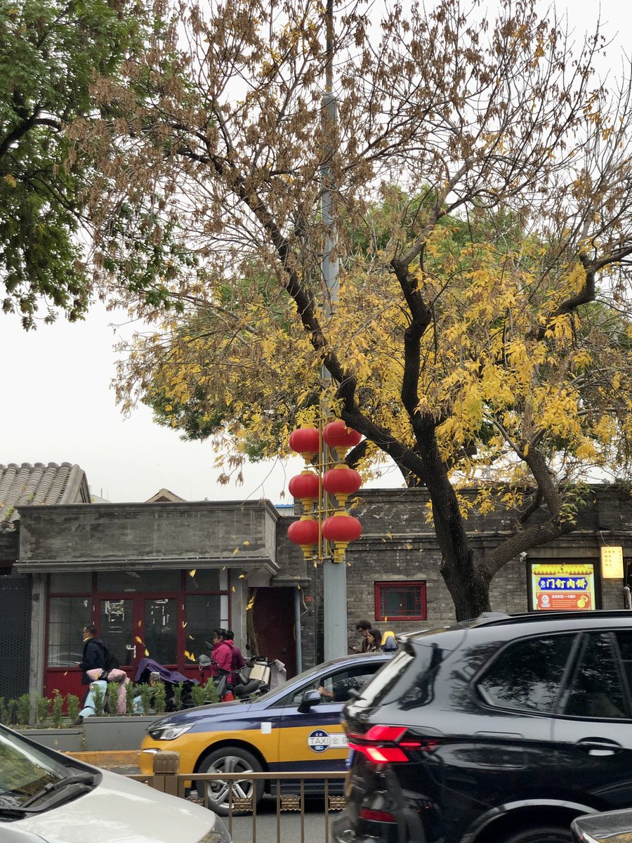 Toastlino3o's tweet photo. 今年秋天没有办法去北京玩 
错过了北京的最佳赏味期 
等到冬天再去 希望到时候可以下雪 https://t.co/ExDRdBXdC6