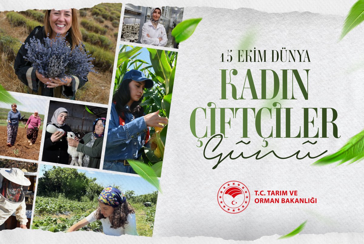 TCTarim's tweet photo. 👩‍🌾 Tarladan sofraya uzanan yolda emeğiyle değer katan, ülkemizin gıda arz güvenliğinin ve sürdürülebilir tarımın mimarı olan tüm kadın çiftçilerimizin 15 Ekim Dünya Kadın Çiftçiler Günü kutlu olsun. 

🤝 Bakanlık olarak, kadın üreticilerimizi her alanda desteklemeye devam edeceğiz.