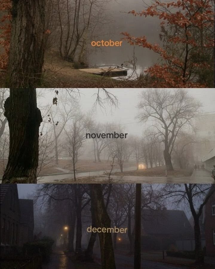 spooky_nature's tweet photo. https://t.co/u9gCtrXPql