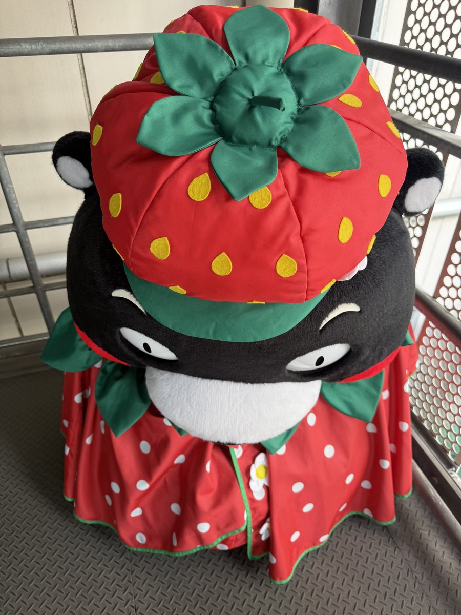 55_kumamon's tweet photo. みのりの秋、果物が美味しい季節だモン！ばっ！こんなところに、たいぎゃふとかいちごだモン！いちごの季節、待ちどおしかモーン・・・☆ https://t.co/wfzFRhWtG4