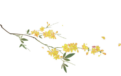 choice4010's tweet photo. [尚废聘簇噬の文字を忍ばせた日常、ちょっと変わった雰囲気]， https://t.co/CT1Jz2dgSk