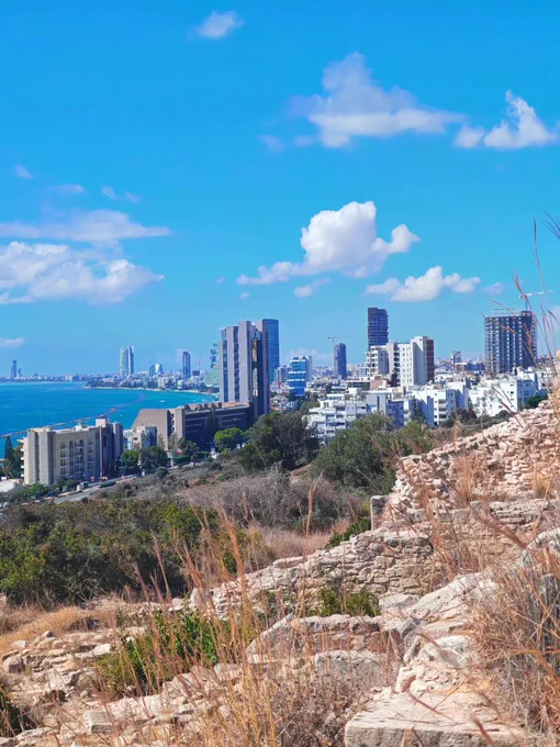 Skyline of Limassol viewed from an elevated, rocky area with dry grass in the foreground. The Mediterranean Sea is visible to the left, with modern buildings and clear blue skies above.