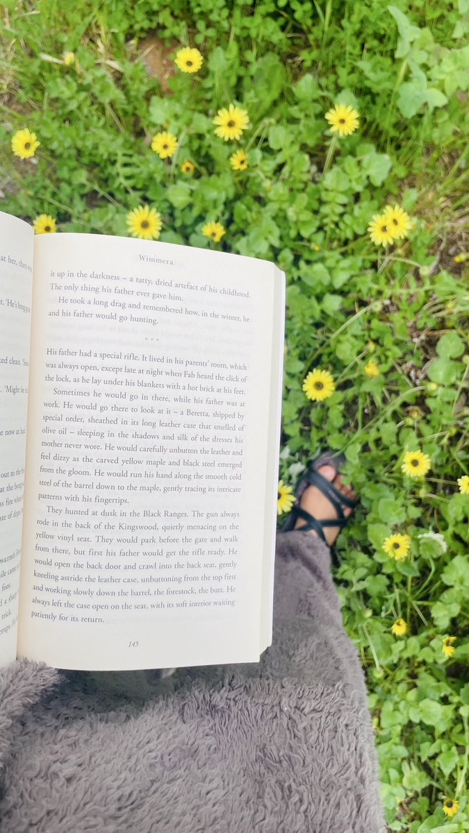 YnrtChi's tweet photo. @ThebookishC At the park in front of my house with nature sounds 🦅 https://t.co/tRcG2vsqpr