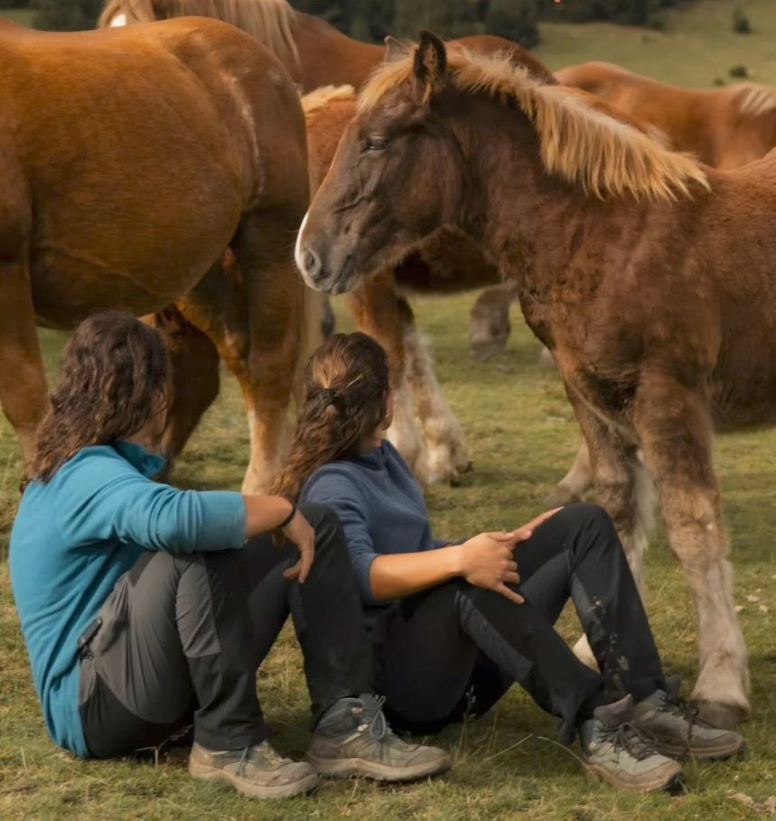 xaiecologic's tweet photo. Aquest és un vell i bell món que cada vegada se'ns va fent més petit del seu bestiar i de la seva gent.
Però avui encara hi som i seguim construint històries.
15 d'octubre: dia internacional de la dona rural.
#ViscaLesNostres
#EncaraSom
#SomVidaALesMuntanyes https://t.co/UItpROl9iN