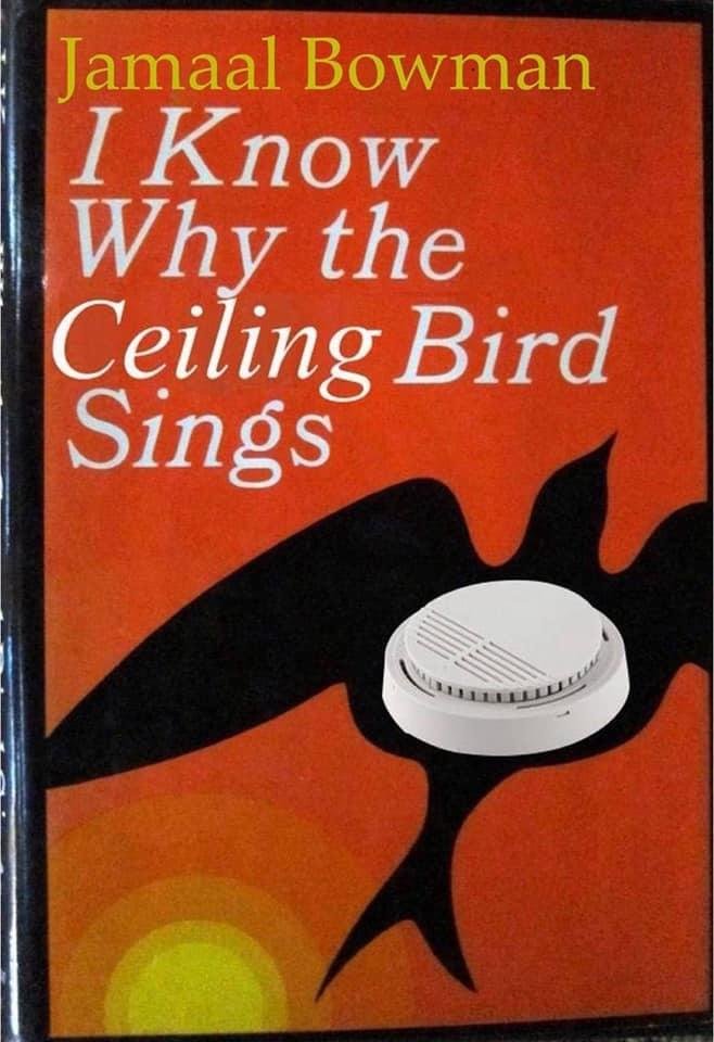 Drunkyth3b3ar's tweet photo. @dat_boi_boogie @hollander_max @vegasAlphons @ShiHendrixxx @Not_Solidus @yayafrost Your reading comprehension skills are shit, nigger https://t.co/4SH9rSg9dI