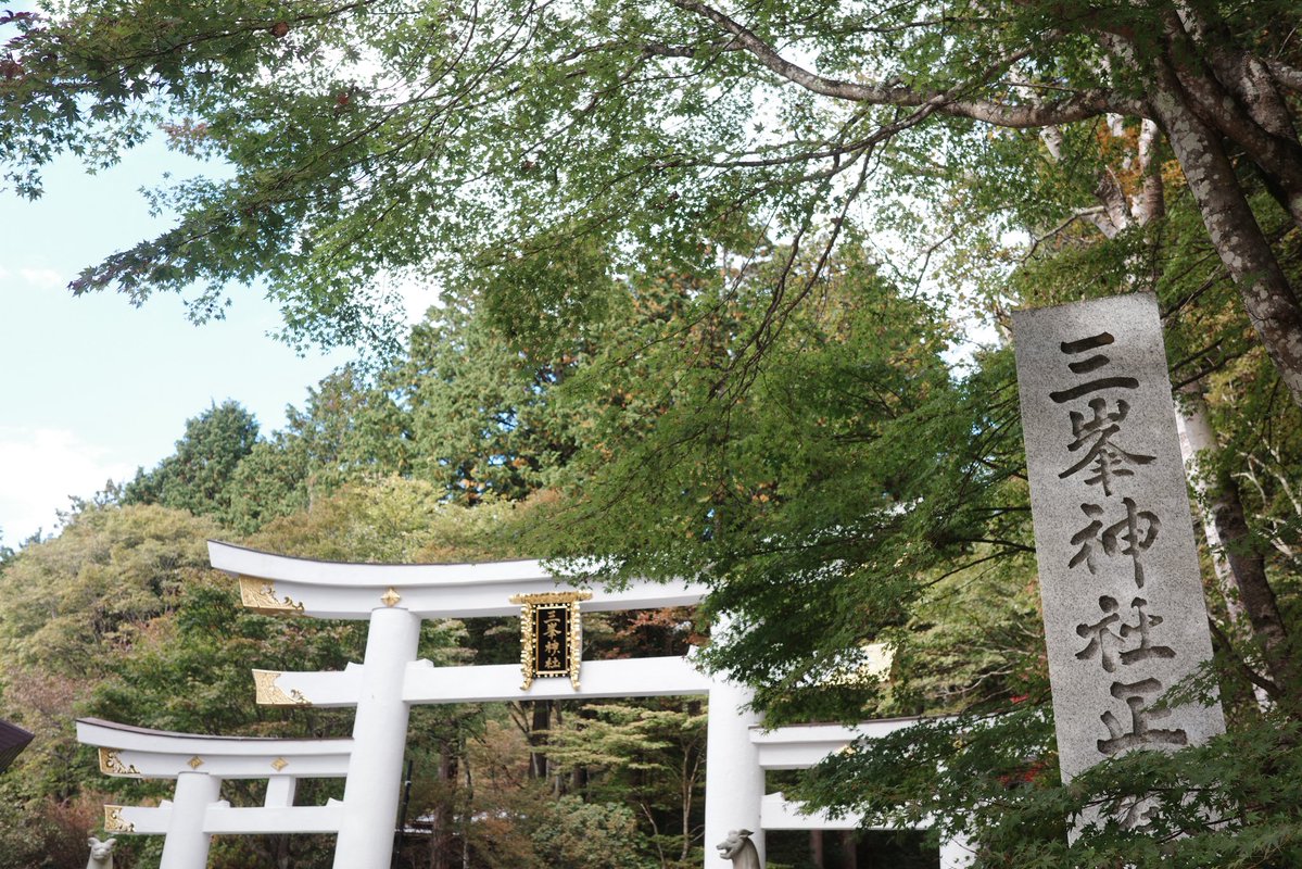 Torippiyo2's tweet photo. 今年も無事参拝
🐺三峯神社🐺
パラパラ雨☂️からの快晴☀️
良き空気たくさん吸って
まったりリフレッシュ出来ました✨

帰りは秩父神社にも寄れましたのよぃ🙏
今度は長瀞とかにも寄りたいなぁ〜と思いながら帰宅しましたとさッ🍧
#神社 #神社仏閣巡り 
#camera #ricohgr3x 
明日は２１時〜ニコ生『鳥友の宴』🐣