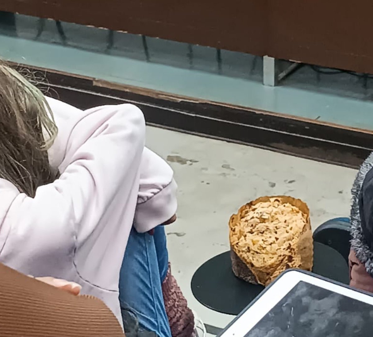 MilkshakeDiUva's tweet photo. A menina ta comendo um panetone INTEIRO, na mordida na aula de genética, é a livre árbitro final boss total. https://t.co/5PFqOcaVAT