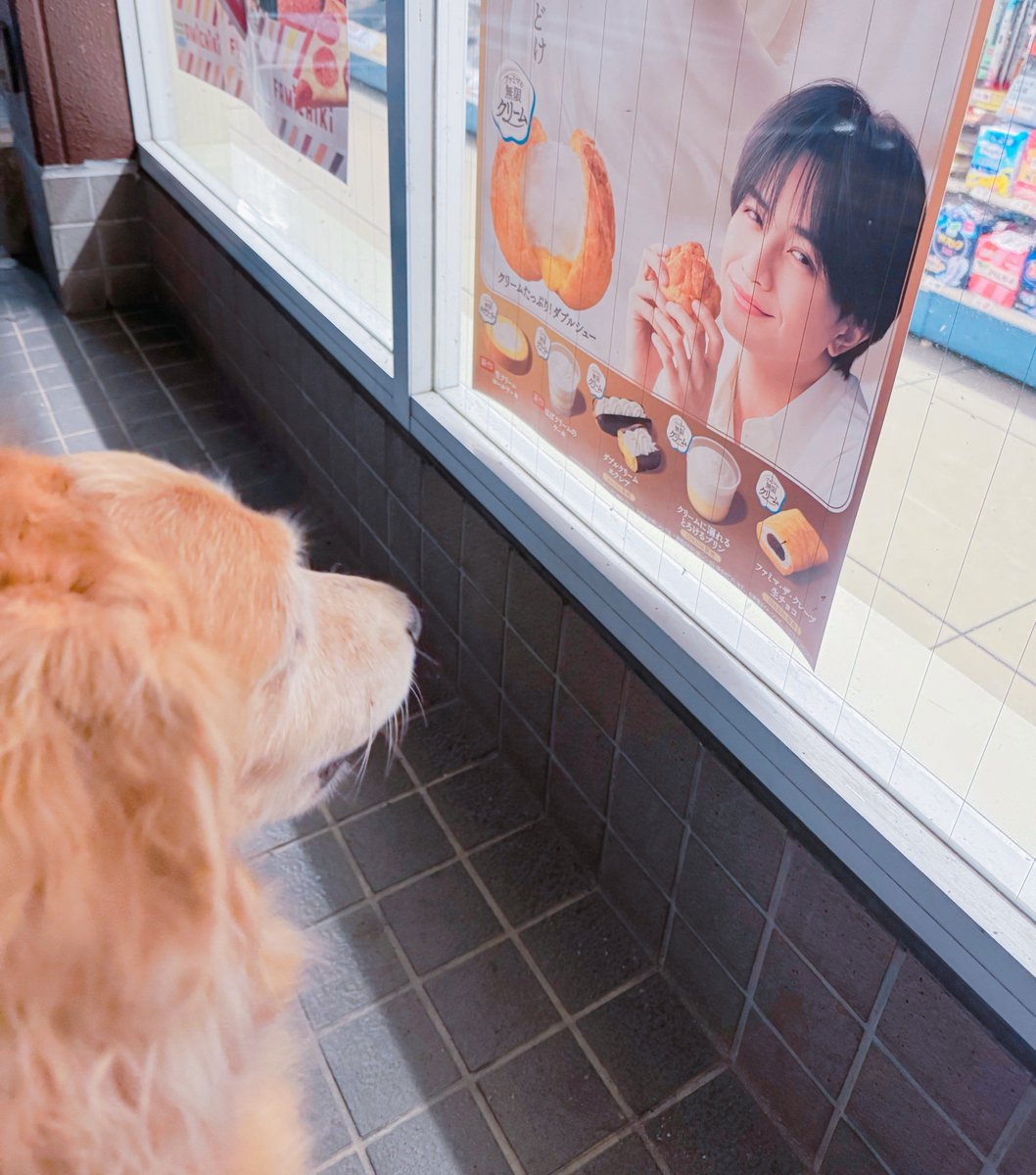 poodlewanko313's tweet photo. わかるよ、ケンティーいたら見ちゃうよね
#ファミマの無限クリーム https://t.co/L6kTA0ZWrH