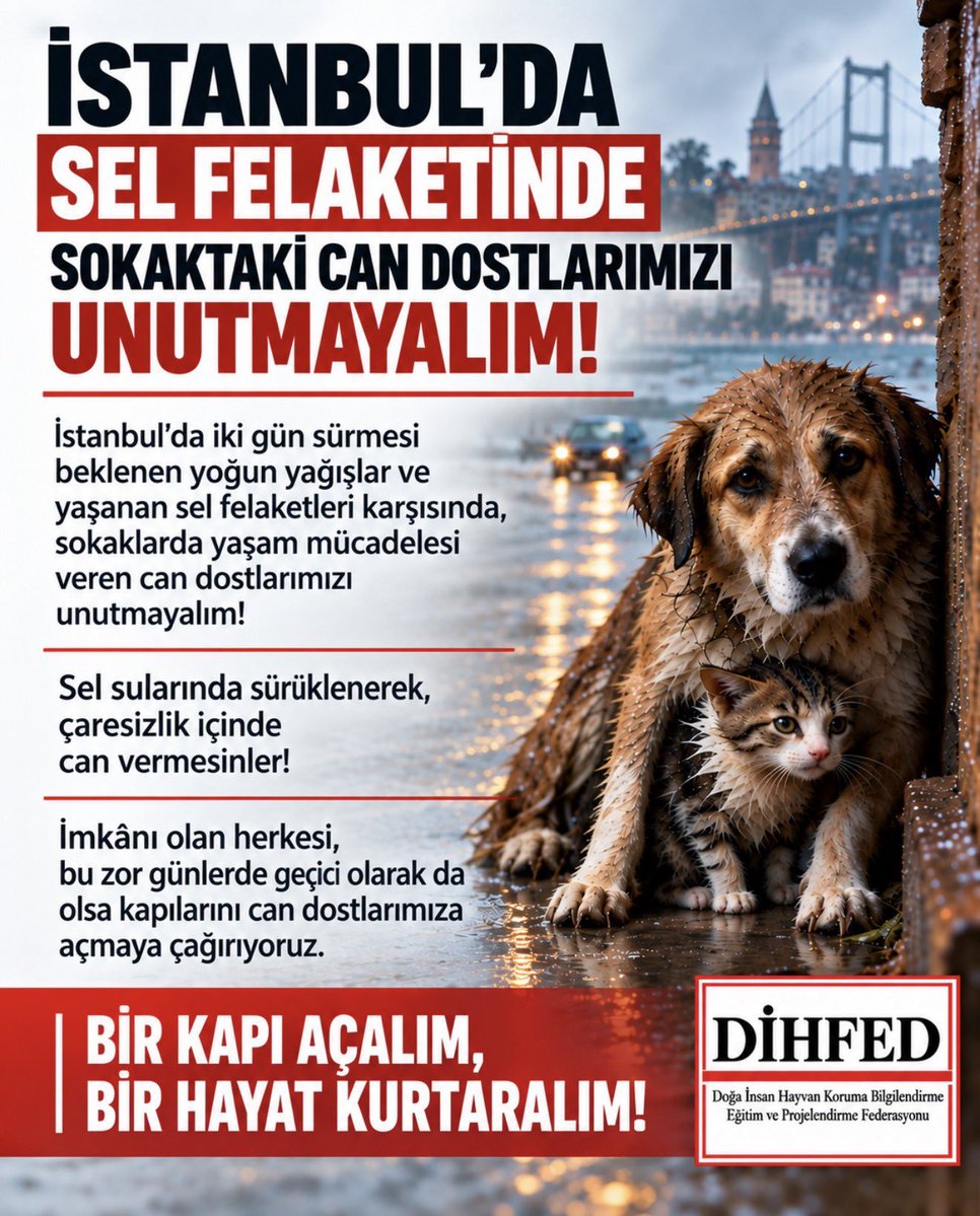kediistedii's tweet photo. Unutmayalım lütfen.. https://t.co/uL4OBPXJ5l