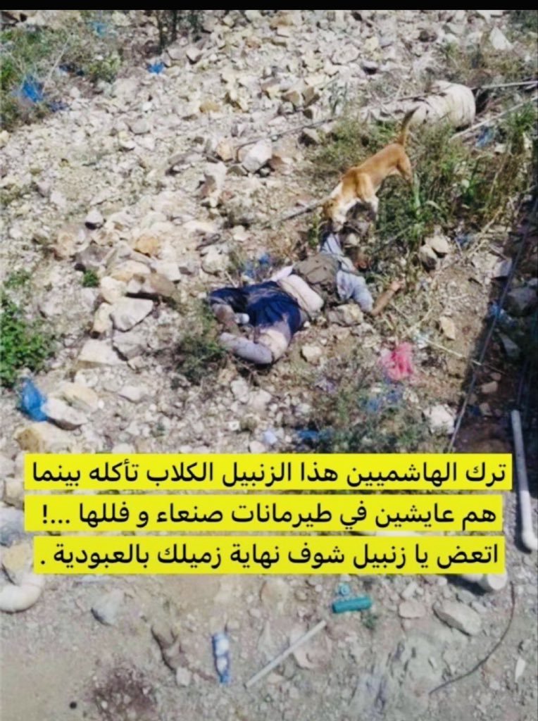 DJnwny67575's tweet photo. @HaiderAlHass هروب ميليشا الحوثي  وترك الجثث تنهسها الكلاب https://t.co/MbWUdfshoM