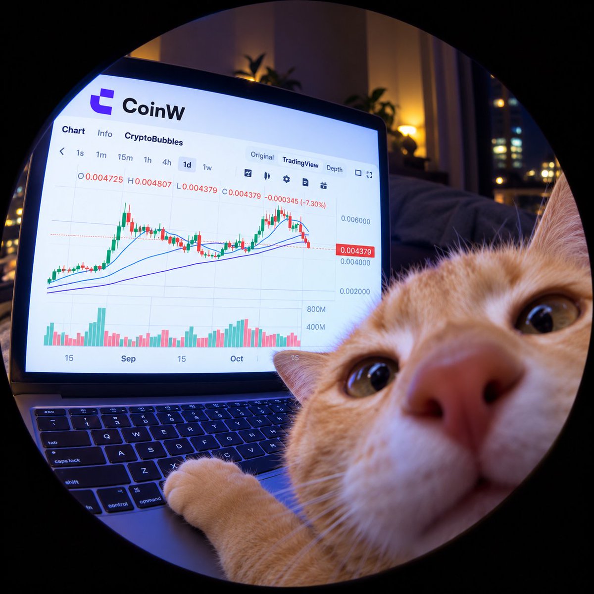 CoinWOfficial's tweet photo. 🎁 Guess the token, 5 legends Win 25 USDT each!
 
✅ Comment &amp; share UID
✅ Follow @CoinWOfficial
✅ Like &amp; RT this post https://t.co/TKsFF3KR8g