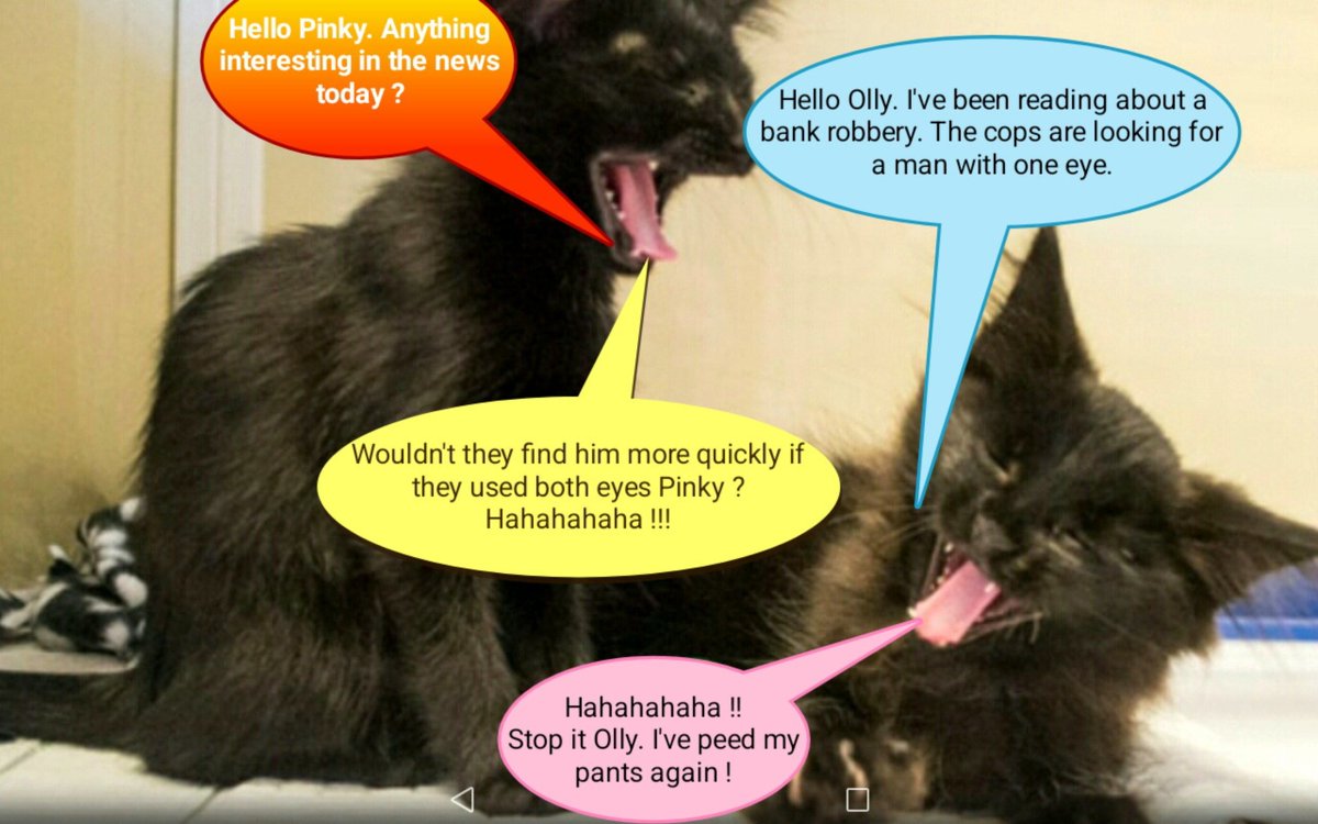 AlanSla90124663's tweet photo. It's time for Pinky and Olly's corny jokes, posted in loving memory of our dear friend Janet.

Pinky has been catching up with the news.

#RIPJanet 💜💜💜
#PinkyAndOlly 

❤️❤️❤️🌽🌽🌽❤️❤️❤️ https://t.co/EeTdK0nNmr