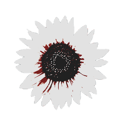 orderandIaw's tweet photo. ⠀ᅟᅟᅟᅟᅟ 𝄃𝄃𝄂𝄂𝄀𝄁𝄃𝄂𝄂𝄃   .   𝟭𝟵𝟵𝟵
⠀  𝙴𝐕𝐄𝗥𝗬𝗢𝗡𝗘    𝗖𝗢𝗠𝗘     𝗕𝗔𝙲𝙺  .͟.͟.͟
     𝖜𝙴'𝐑𝐄    𝐇𝗔͟𝐕𝐈𝐍𝐆   𝐀    𝐑𝐄𝐓𝐑𝐢𝐀𝐋  !
⠀
⠀ https://t.co/48YeY2b9gw