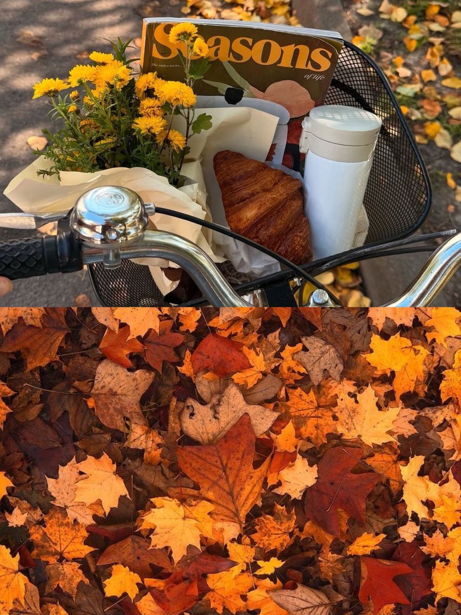 MmmMmm1831967's tweet photo. 友達と秋LOOK🍂🧶🐻🍄‍🟫🍠

#日常　#日常垢　#zozotown https://t.co/1b39jTZkFE