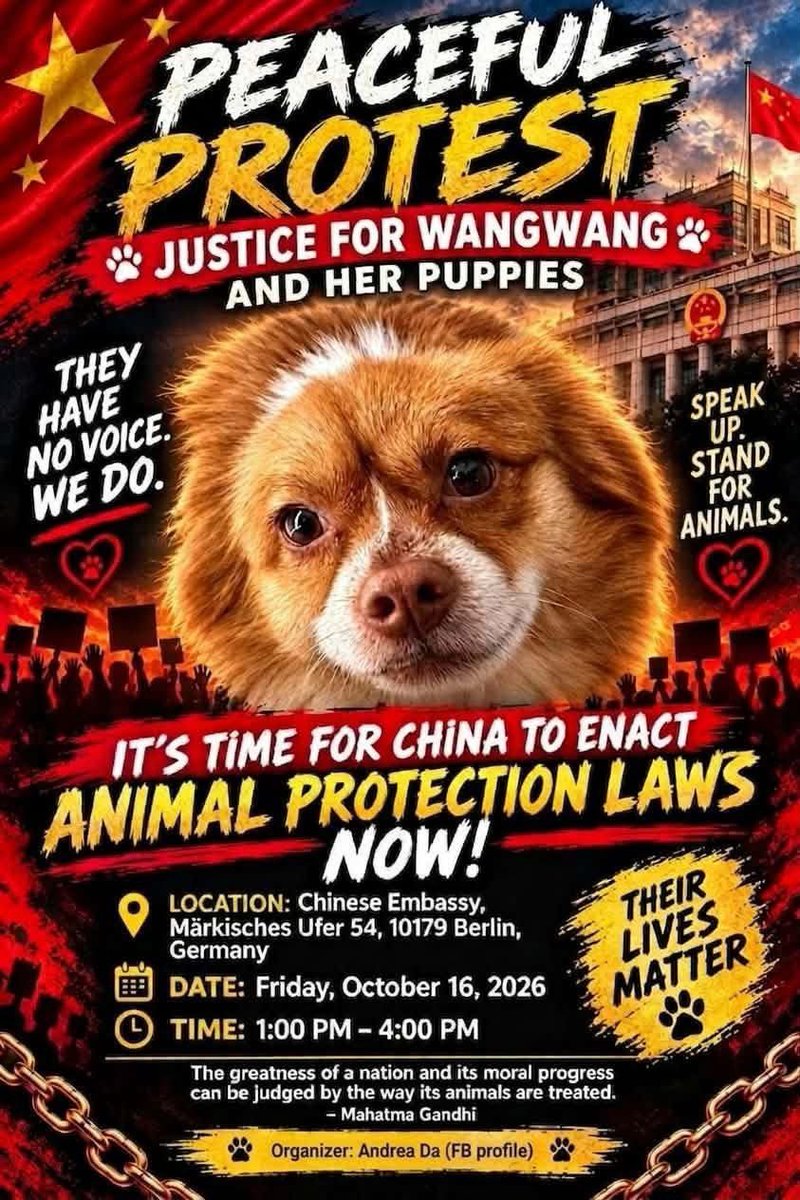 john2021animals's tweet photo. #berlin #justiceforwangwang https://t.co/Cl9jJaLbPr