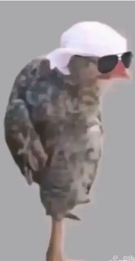 o7mfr's tweet photo. @Setgye نحن عندنا اقوا جواز واطول برج https://t.co/ypmy2ssG6z
