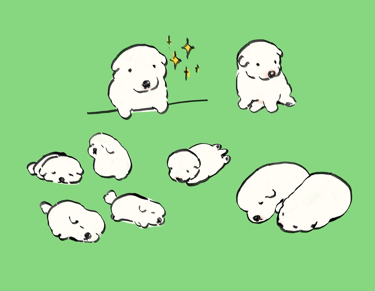 inuyo_shiyoshi's tweet photo. 🐾 https://t.co/DP9kyTiiGc