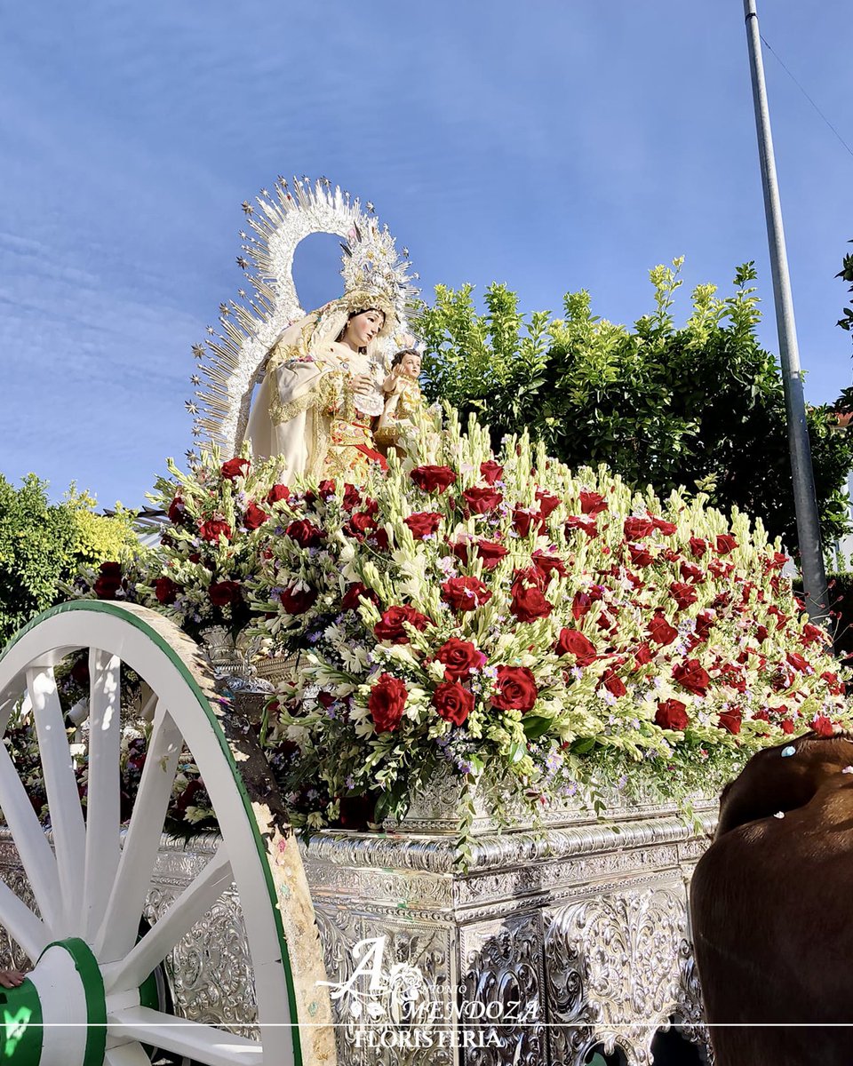 FloristaMendoza's tweet photo. Un nuevo Torrijos junto a Nuestra Señora de la Estrella Coronada, Patrona y Alcaldesa Perpetua de Valencina.

• @HdadTorrijos 

#AntonioMendoza #Floristería #Sevilla https://t.co/s4YVrkDcXH