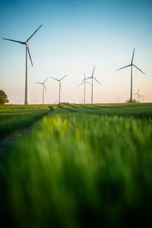 SoMeTest4me's tweet photo. I will go All In on #AllInAccount4 if Green Power $GP crosses 0,65 $ https://t.co/QkiUCsiULK